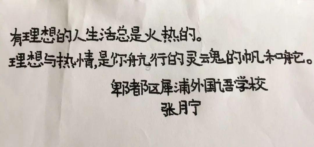 森林鸽营救
